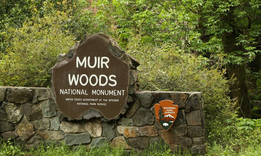 San,Francisco,ca,-,March,28:,Muir,Woods,National,Monument,On